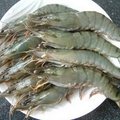 草虾