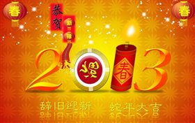 今年我主厨——2013年大宝年夜饭