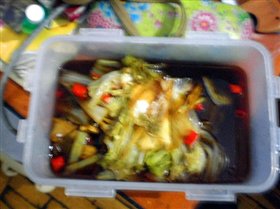 简单菜肴