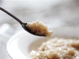 Basic Risotto