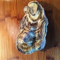 烤生蚝的做法