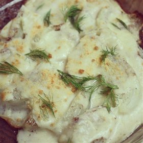 Fennel Gratin (奶油焗球茎茴香)