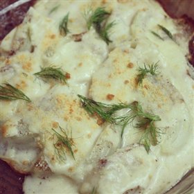 Fennel Gratin ͟h㣩