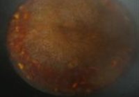 水煮肉片的做法 步骤7