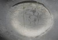 红烧臭鳜鱼的做法 步骤8