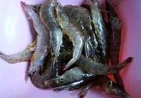 茶焖大虾的做法 步骤6
