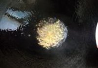 砂锅鱼头煲的做法 步骤10