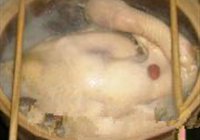 石耳炖鸡的做法 步骤12