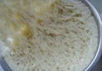 山东素包子的做法 步骤2
