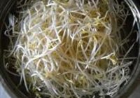 素炒绿豆芽的做法 步骤2