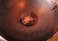 呛拌蓑衣黄瓜的做法 步骤6