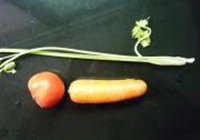 芹菜胡萝卜番茄汁的做法 步骤1