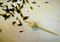 荷叶桂圆莲子桂花粥的做法 步骤2