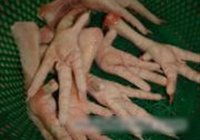 凤爪冻的做法 步骤1