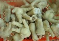白云凤爪的做法 步骤4