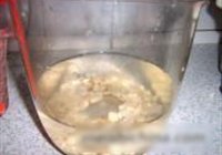 杏仁露的做法 步骤4