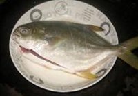 干烧平鱼的做法 步骤2