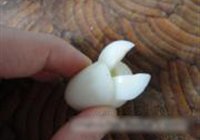 红烧鹌鹑蛋的做法 步骤10