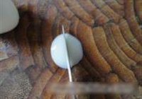 红烧鹌鹑蛋的做法 步骤8