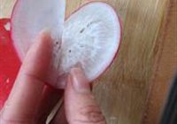 萝卜夹的做法 步骤7