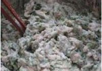 鲅鱼水饺的做法 步骤13