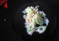 滑子蘑栗子鸡的做法 步骤4