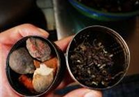 酥锅的做法 步骤2
