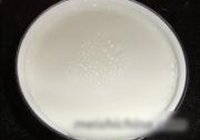自制酸奶的做法 步骤4