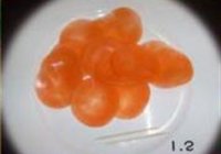 胡萝卜玫瑰花的做法 步骤2