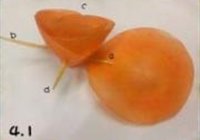 胡萝卜玫瑰花的做法 步骤10