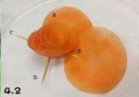 胡萝卜玫瑰花的做法 步骤11