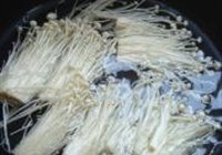 ʻƻ빽 4
