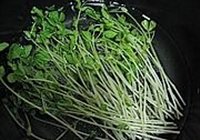 香卤豆皮拌豆苗的做法 步骤13