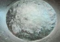 斋肠的做法 步骤8