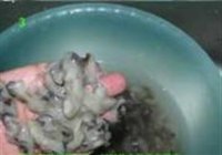 美味海蛎煎的做法 步骤3