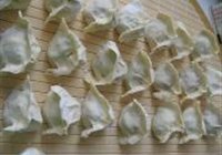 黄金汤饺的做法 步骤10