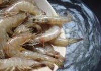 白灼虾的做法 步骤4