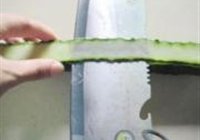 蒜泥白肉的做法 步骤8
