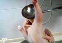 葱油白斩鸡的做法 步骤12