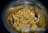 红枣豆浆的做法 步骤4