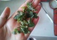 Ӱˬڲ˵ 10