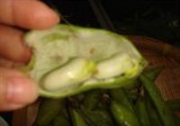 凉拌新鲜胡豆的做法 步骤2