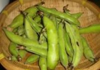 凉拌新鲜胡豆的做法 步骤1