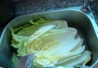 辣白菜.泡菜的做法 步骤1