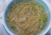 超诱惑的拌黄豆芽的做法 步骤2