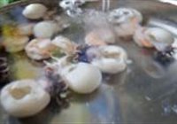 泡椒墨斗的做法 步骤5
