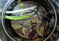 手抓大排的做法 步骤4