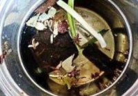 手抓大排的做法 步骤5