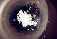 蚝油生菜的做法 步骤5