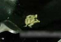 黄花菜草菇炒肉的做法 步骤9